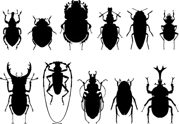 Böcek, siyah siluetler beyaz arka plan üzerinde. Hatalar ve beyaz arka plan üzerinde izole böcekleri farklı türleri. 