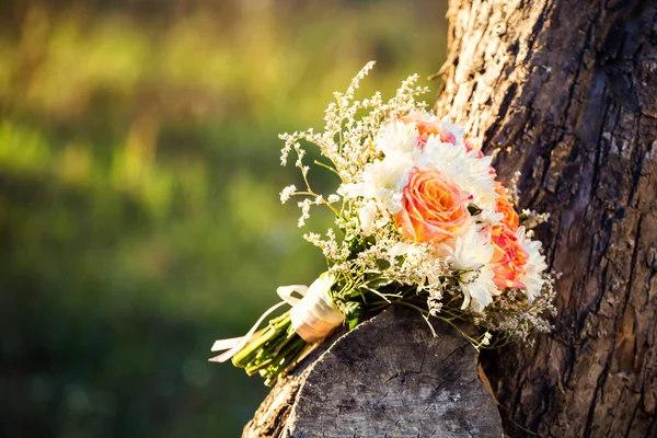 Beautiful nice bridal bouquet — Stock Photo, Image