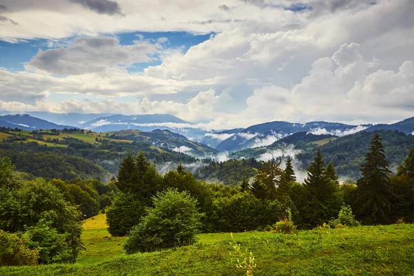 Synevyr Geçidinden Ukrayna Nın Transcarpathian Bölgesinin Mizhhirya Ilçesindeki Ulusal Doğal — Stok fotoğraf
