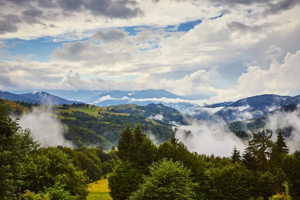 View Synevyr Pass Foggy Mountains National Natural Park Synevir Mizhhirya — стоковое фото