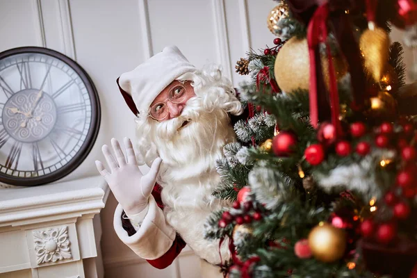 Санта Клаус Прячется Елкой Спрятать Подарки Новогодние Рождественские Праздники — стоковое фото