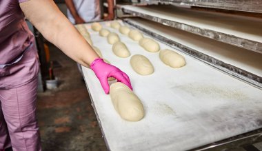 Fırıncıların elleri ekmek pişirmek için hamur oluşturur ve onu üretim tepsisine koyar.
