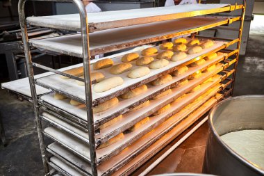 Üretimde fırında pişirmeden önce fırında çiğ hamur ekmeği.