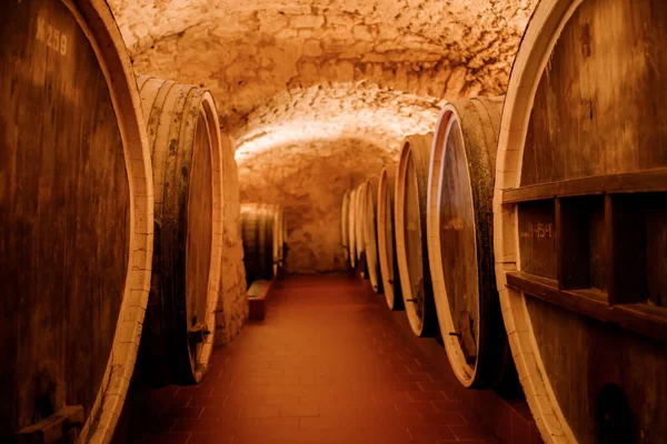 Velhos Barris Madeira Tradicionais Com Vinho Num Cofre Alinhado Numa — Fotografia de Stock