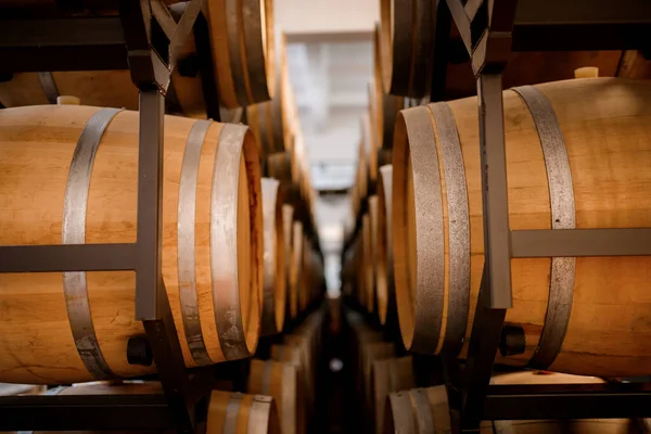 Old Aged Traditional Wooden Barrels Wine Vault Lined Cool Dark — Stock Photo, Image