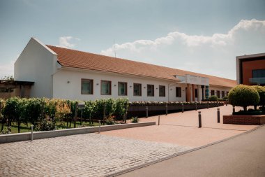 Shabo, Ukrayna 06.29.2021. Shabo Şaraphanesinde Şarap Kültürü Müzesi, Odessa bölgesi, Ukrayna