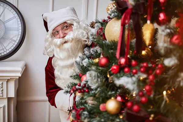 Santa Claus Hiding Christmas Tree Hide Gifts New Year Merry — Stock Photo, Image