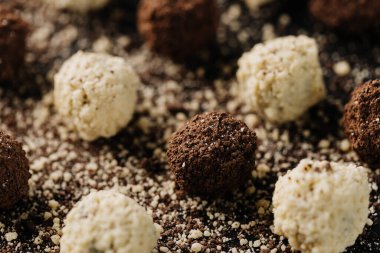 Siyah arka planda hindistan cevizi ve kakao mantarı yakın plan. Yüksek kalite fotoğraf