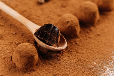 Çikolatalı trüf mantarı, tahta kaşıkla kakao tozunun üstünde. Yüksek kalite fotoğraf
