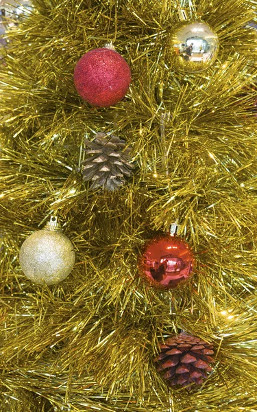 Рождественские елки Лицензионные Стоковые Фото