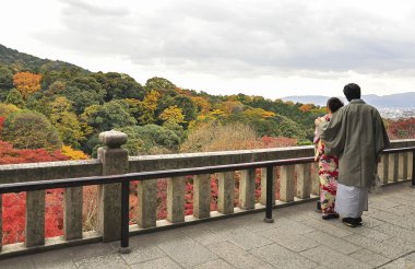 Mountain aşık kaç forrest görünümü, Osaka Japonya