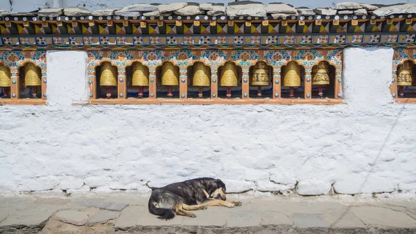 Ruedas religiosas de oración y perro en Bután — Foto de Stock