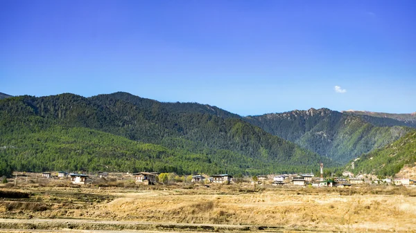 Il campo di erba gialla con rocce e alberi verdi montagna in altezza il cielo bianco e blu su sfondo . — Foto Stock