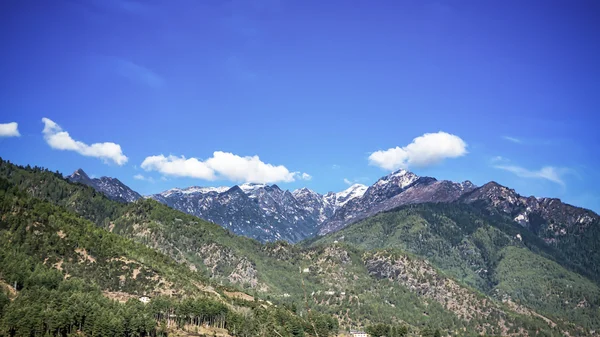 As rochas e árvores verdes montanha em altura nível com o branco — Fotografia de Stock