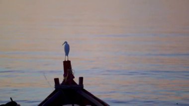 Günbatımı denizindeki balıkçı teknesinin manzaralı görüntüleri.