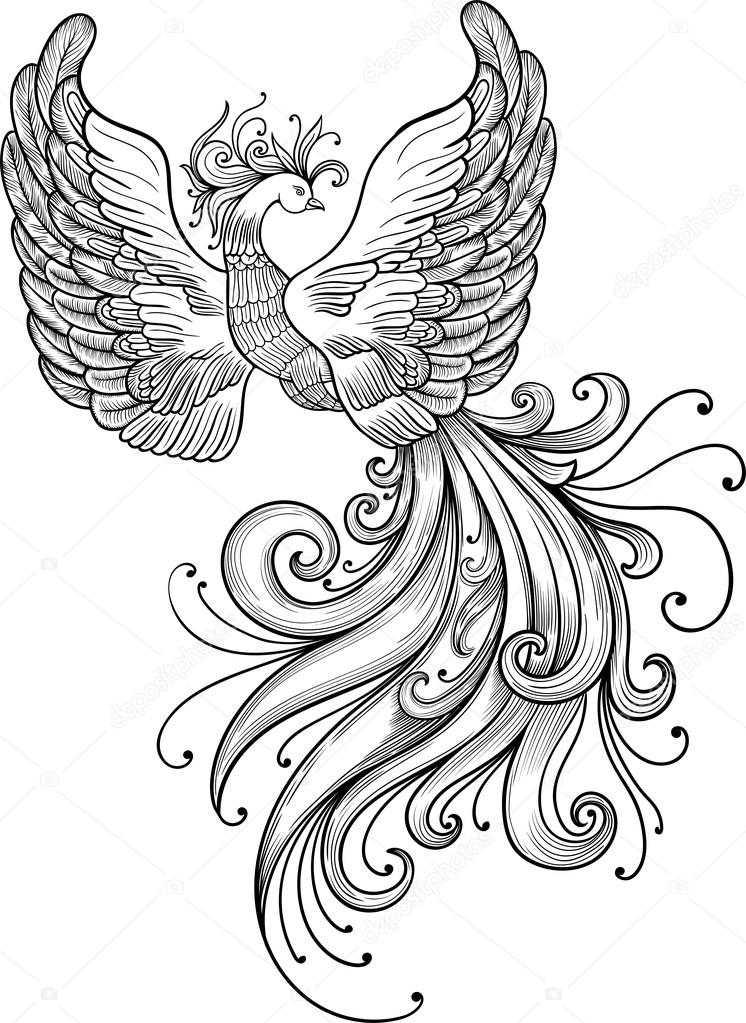 https://st2.depositphotos.com/8001674/10819/v/950/depositphotos_108198036-stock-illustration-firebird-vector-clipart.jpg