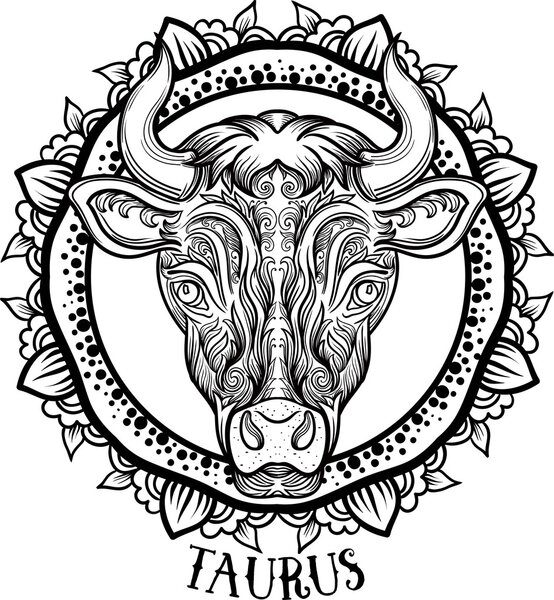 Detailed Taurus in aztec filigree line art zentangle style. Tattoo, coloring page for adult. T-shirt animals design. ZodiacTaurus. tribal, decorative wool pattern. Vector