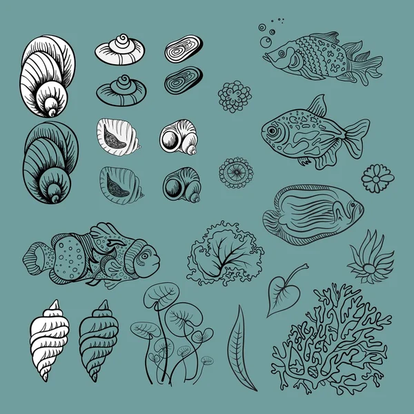 海のコレクション オリジナル手ビンテージ スタイルでの図の描画 — ストックベクタ
