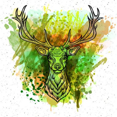 Whitetail Deer Head.