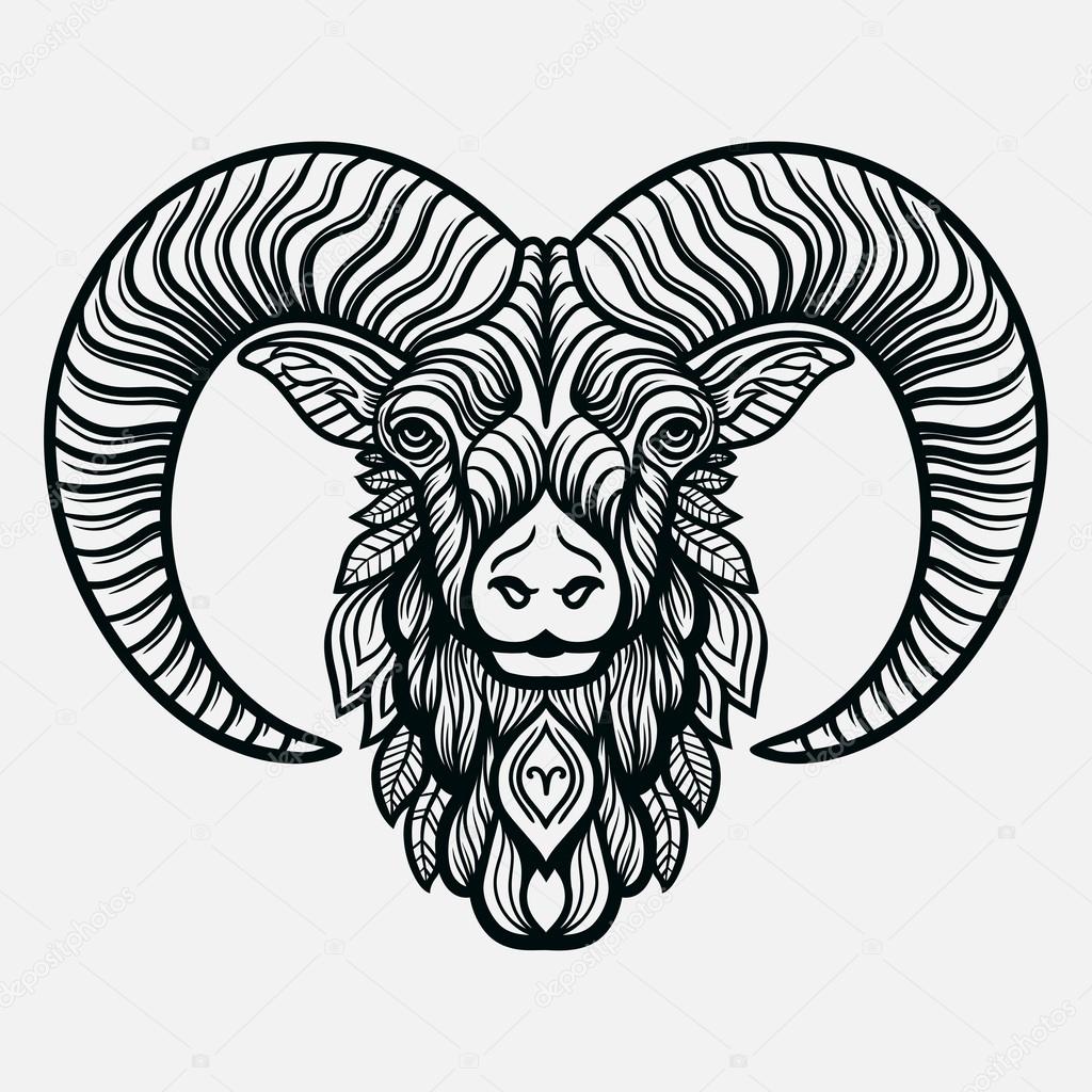 Hand drawn line art of zodiac arias. Vector