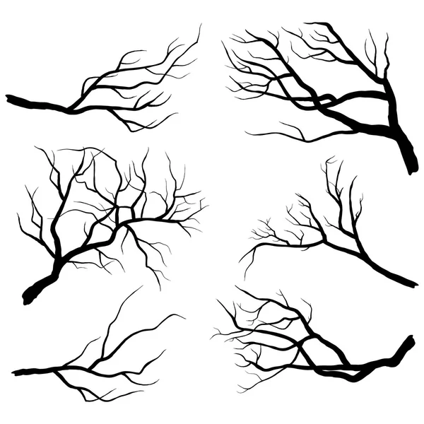 Branch Silhouettes Set — Stock Vector