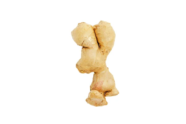 Taze zencefil kökü.