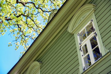 Bahar dünyasında pencere