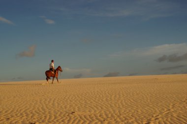 Kum tepeleri binmek