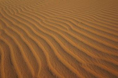 Altın kum dalgaları