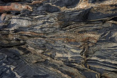 Doğa satırlarında