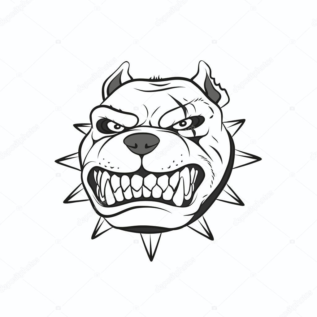 Picture angry pitbull Stock Vector Image by ©Moz87 #119242596