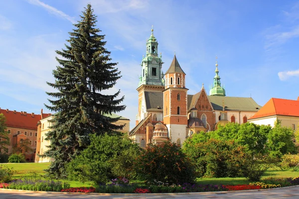 Krakow (Polska), Katedra na Wawelu — Stock Photo, Image