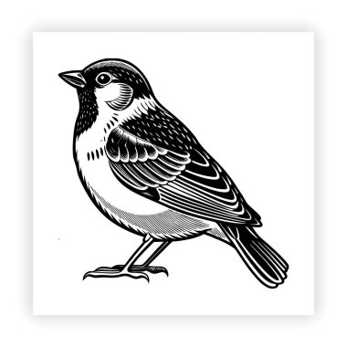 Kuokka ve kaplan şeffaf arka plan veya daldaki kuş.