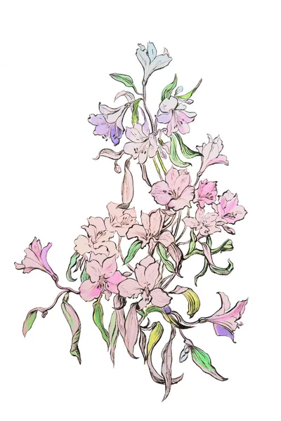 Orchidea na biały ilustracja. — Zdjęcie stockowe