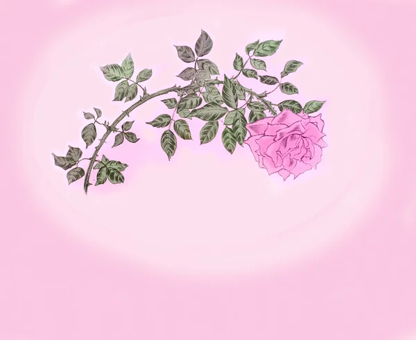 Ілюстрація троянди в вінтажному стилі — стокове фото