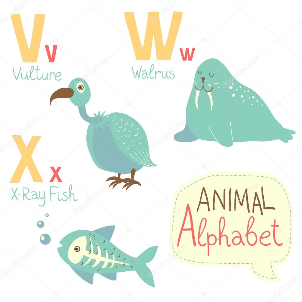 Cute zoo alphabet Stock Vector Image by © #108763414