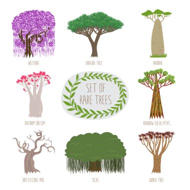Set of rare trees clipart