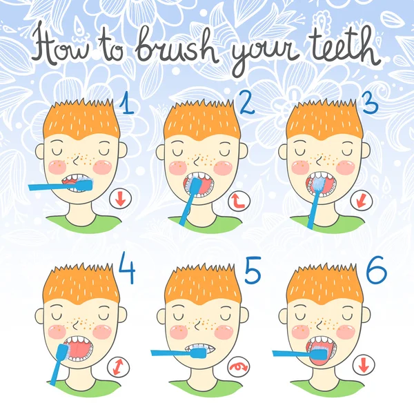 Instructions on how to brush your teeth — Stock Vector