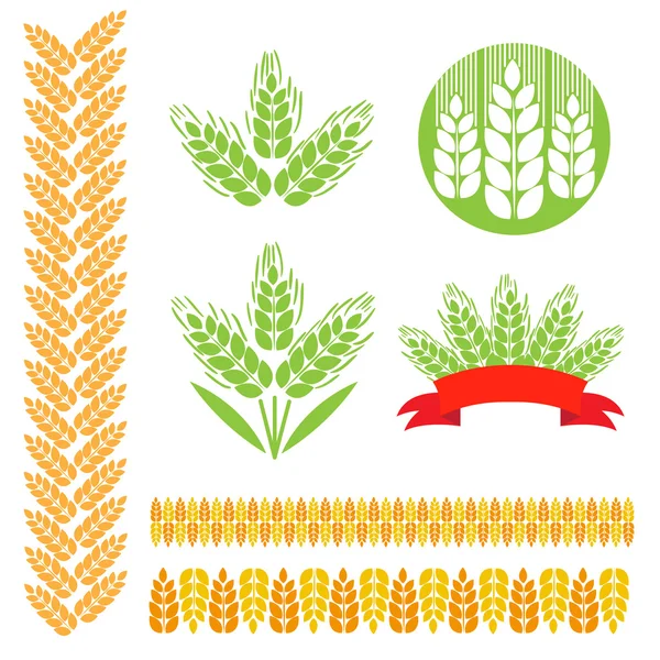Illustration du lot de blé — Image vectorielle