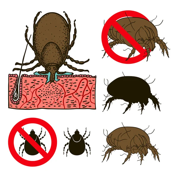 Prohibition sign for house dust mites — Stock Vector