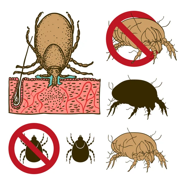 Señal de prohibición para ácaros del polvo — Vector de stock