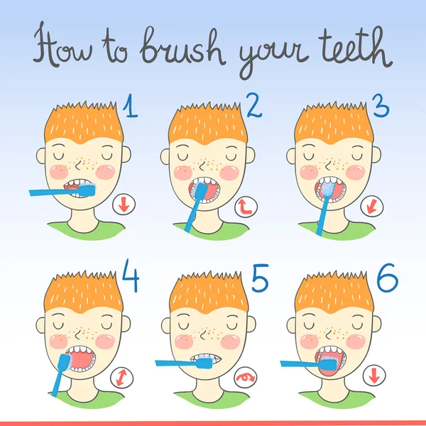 Instructions on how to brush your teeth — Stock Vector