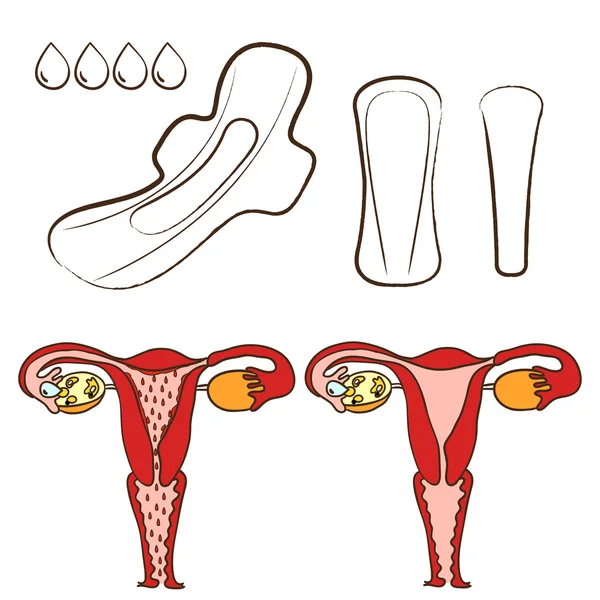 Гигиенические полотенца и менструации — стоковый вектор