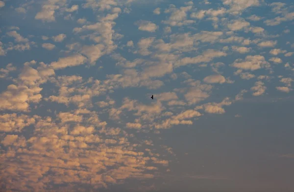 Masmavi gökyüzü bulutlu