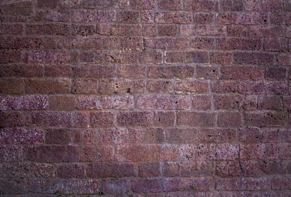 Doku duvar Hindistan