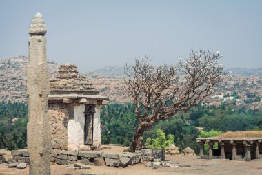 Yalnız ağaç Hampi içinde. Hindistan