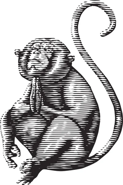 Yoga monkey och svans — Stock vektor