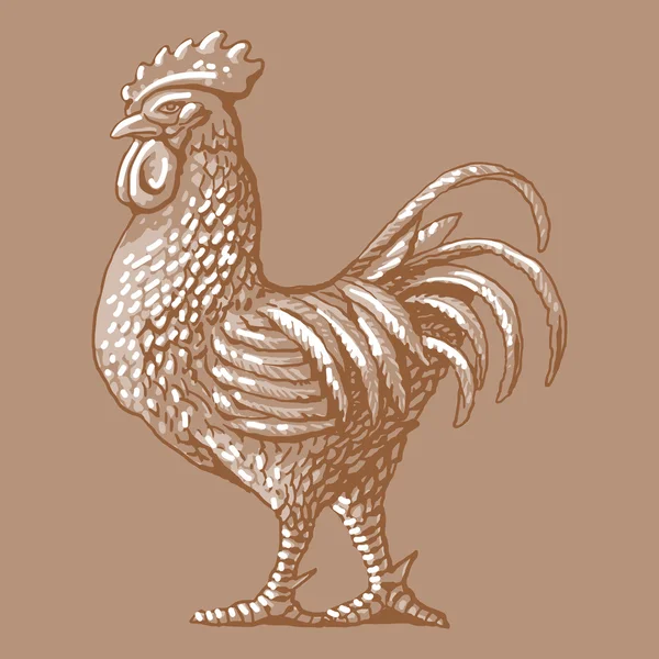 Étiquette de gravure de coq — Image vectorielle