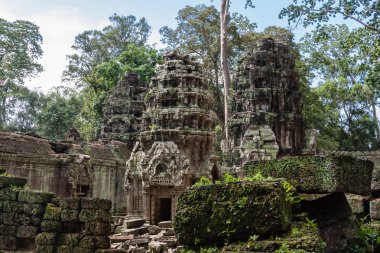 Ta Prohm Tapınağı, Angkor, Siem Reap, Kamboçya