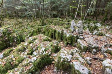 Fransa 'daki Jura' dan Malrochers 'ın karistik izleri.